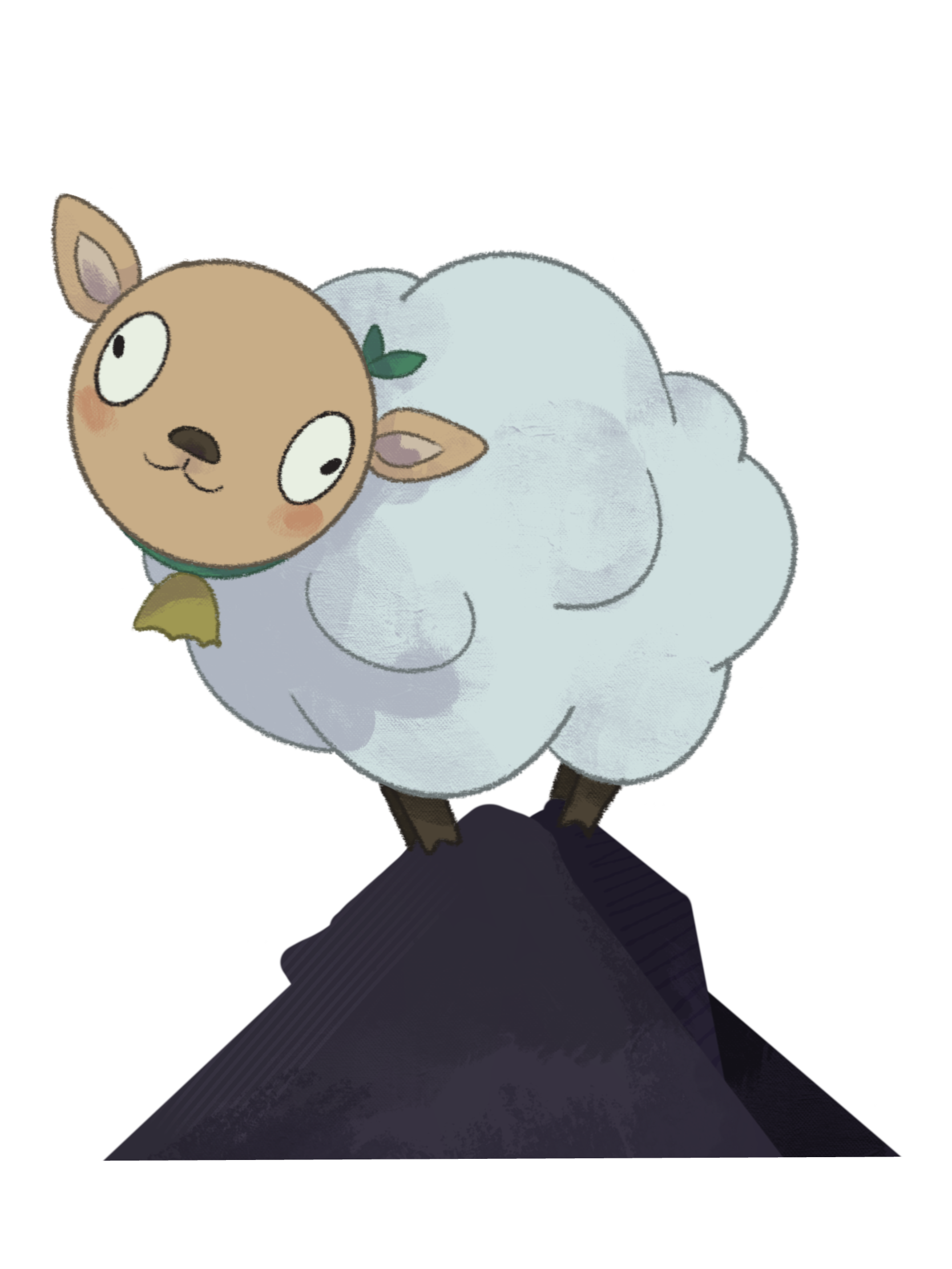 A Woollyback standing on top of a rock